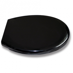 Black Toilet Seat